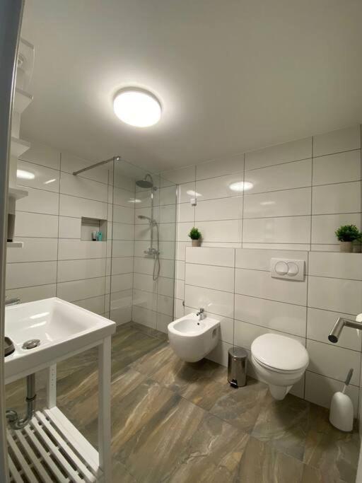 Apartment Mihael Pula